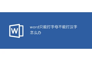 word只能打字母不能打汉字怎么办
