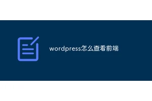 wordpress怎么查看前端
