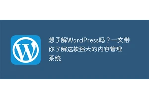 想了解WordPress吗？一文带你了解这款强大的内容管理系统