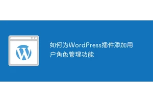 如何为WordPress插件添加用户角色管理功能
