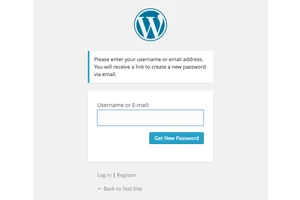 构建自定义的WordPress用户流程，第三部分：密码重置