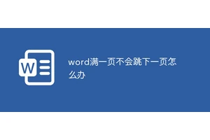 word满一页不会跳下一页怎么办