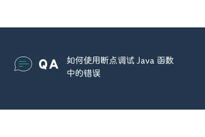 如何使用断点调试 Java 函数中的错误