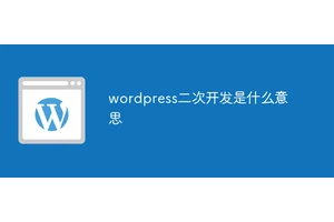 wordpress二次开发是什么意思