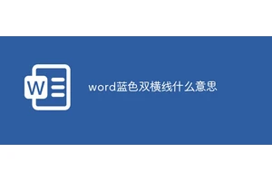 word蓝色双横线什么意思