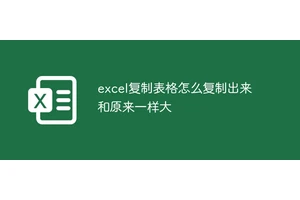 excel表格复制出来和原来一样大