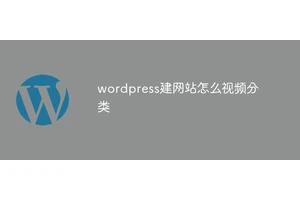 wordpress建网站怎么视频分类