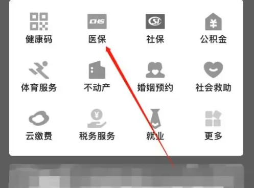 鄂汇办如何添加家人医保卡 鄂汇办查询家人医保方法