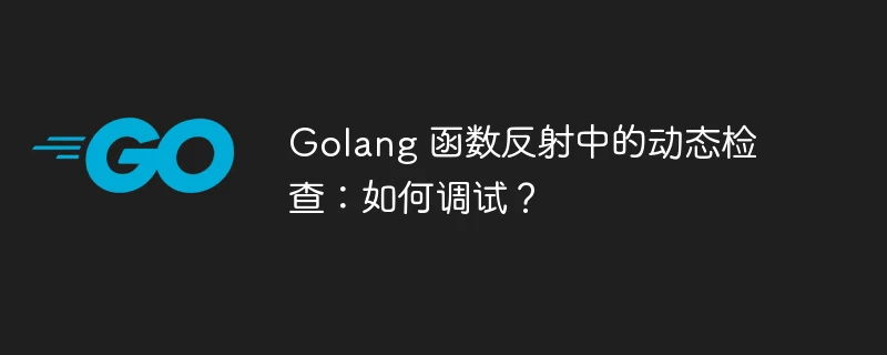 Golang 函数反射中的动态检查:如何调试?