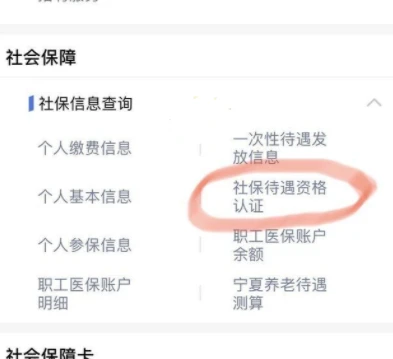 掌上12333养老认证怎么看已认证 具体操作方法介绍