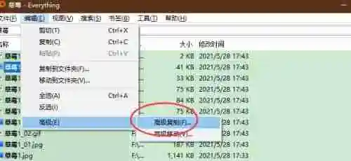 Everything怎么使用正则条件复制文件