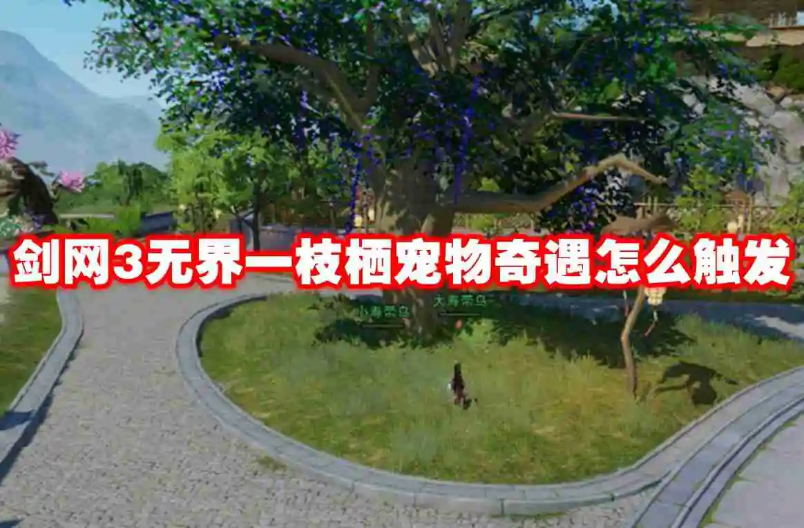 剑网3无界一枝栖宠物奇遇怎么触发 剑网3无界一枝栖宠物奇遇条件