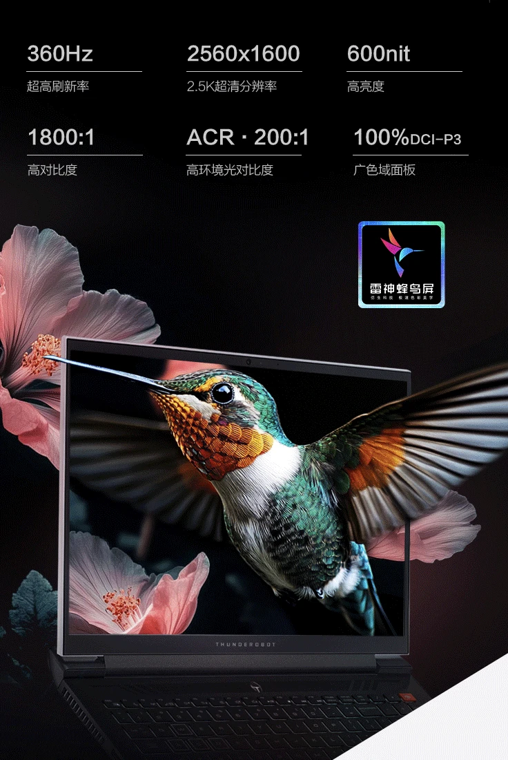 雷神 Zero 2024 16 英寸游戏本新增“i9-14900HX + 32G + 1T + RTX4070”配置售 11499 元