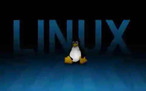 Linux 上设置自己的公共时间服务器