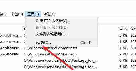 Everything如何修改矩形选区样式