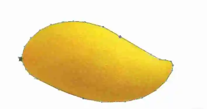 coreldraw怎么扣图？-coreldraw扣图的方法