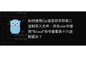 如何使用Go语言将字符串二进制写入文件，并在vim中使用"%!xxd"命令查看其十六进制表示？
