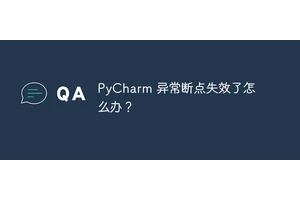 PyCharm 异常断点失效了怎么办？