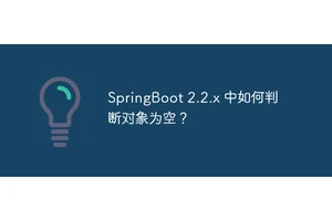 SpringBoot 2.2.x 中如何判断对象为空？