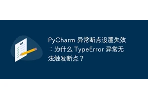 PyCharm 异常断点设置失效：为什么 TypeError 异常无法触发断点？