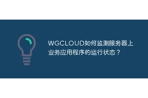 WGCLOUD如何监测服务器上业务应用程序的运行状态？