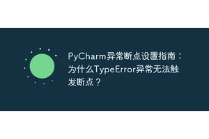PyCharm异常断点设置指南：为什么TypeError异常无法触发断点？
