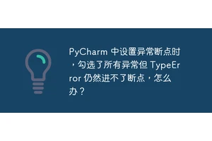 PyCharm 中设置异常断点时，勾选了所有异常但 TypeError 仍然进不了断点，怎么办？