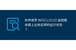 如何使用 WGCLOUD 监控服务器上业务应用的运行状态？