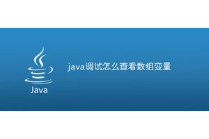java调试怎么查看数组变量