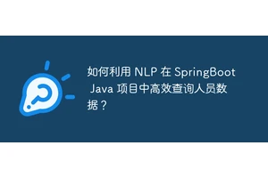 如何利用 NLP 在 SpringBoot Java 项目中高效查询人员数据？