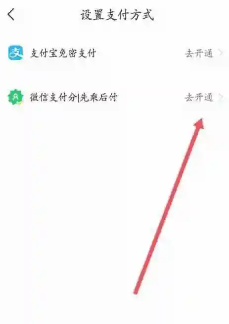 高德地图支付方式怎么设置
