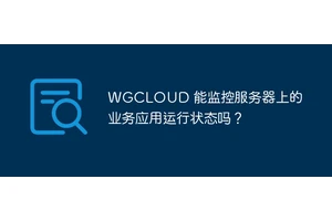 WGCLOUD 能监控服务器上的业务应用运行状态吗？
