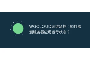 WGCLOUD运维监控：如何监测服务器应用运行状态？