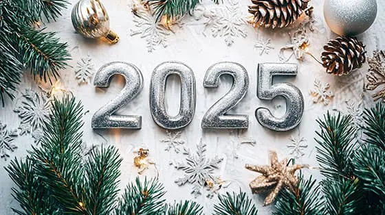 被松枝和雪花包围的银色数字设计 2025 新年快乐图片素材(JPG)