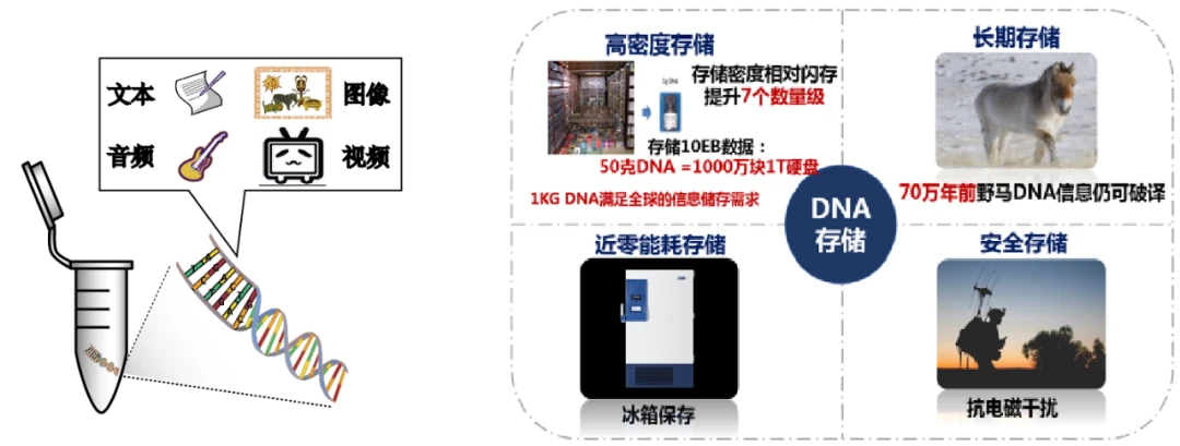 「毕昇一号」DNA活字存储喷墨打印机来了,低成本、高效率、全自动的DNA存储
