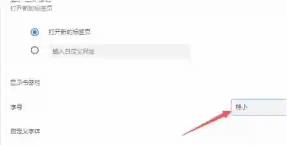 谷歌浏览器怎么修改浏览器字号大小-谷歌浏览器修改浏览器字号大小的方法