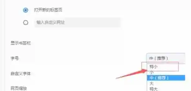 谷歌浏览器怎么修改浏览器字号大小-谷歌浏览器修改浏览器字号大小的方法