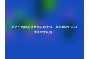 若依分离版前端数据获取失败：如何解决Lombok插件缺失问题？