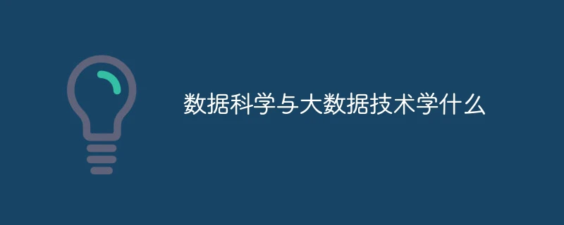 数据科学与大数据技术学什么