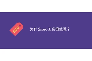 为什么seo工资很低呢？