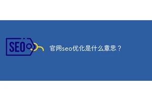 官网seo优化是什么意思？