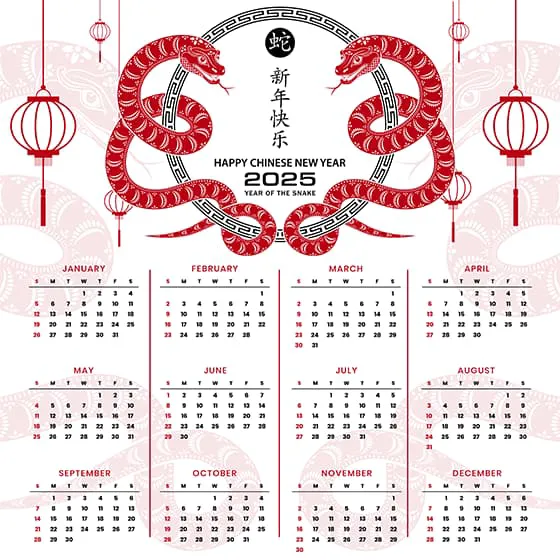 吐舌头的蛇和灯笼设计 2025 蛇年日历矢量素材(EPS)五