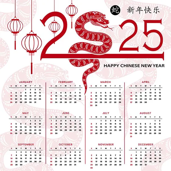 吐舌头的蛇和灯笼设计 2025 蛇年日历矢量素材(EPS)四