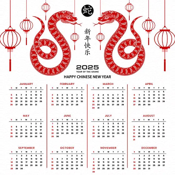 吐舌头的蛇和灯笼设计 2025 蛇年日历矢量素材(EPS)十