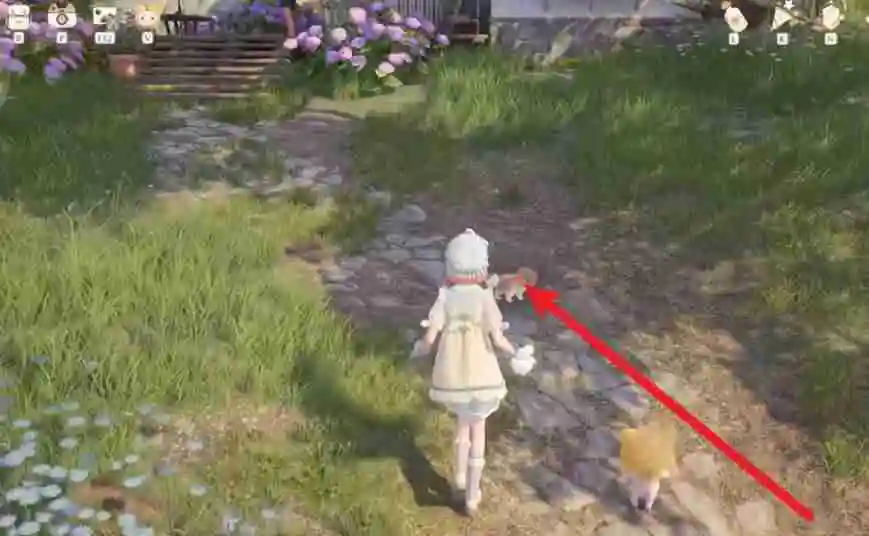 无限暖暖汪汪毛线有什么用 汪汪毛线作用及获取方式详细介绍