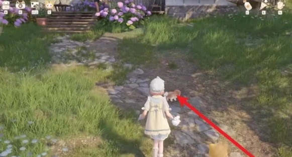 无限暖暖汪汪毛线如何获取