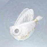 无限暖暖提包鱼怎么获得