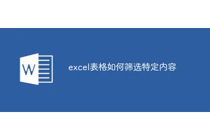 excel表格如何筛选特定内容