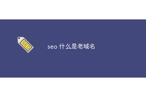 seo 什么是老域名