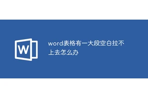 word表格有一大段空白拉不上去怎么办